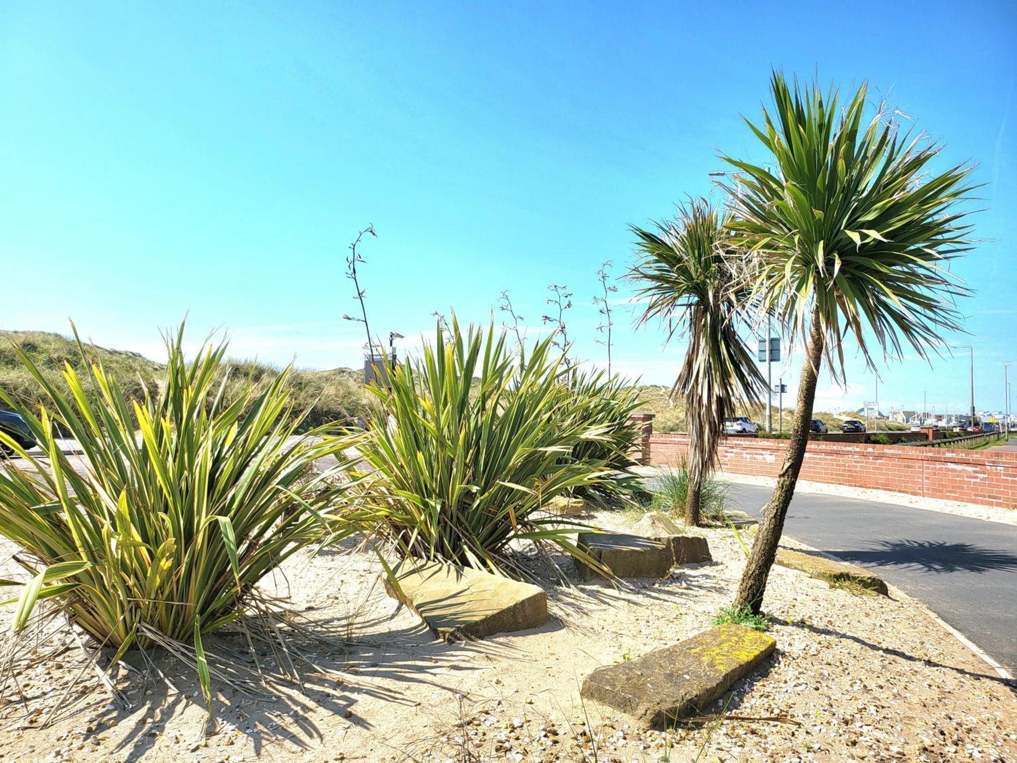 Seaside Beach Themed Home With Garden And Driveway Lytham St Annes Exteriör bild